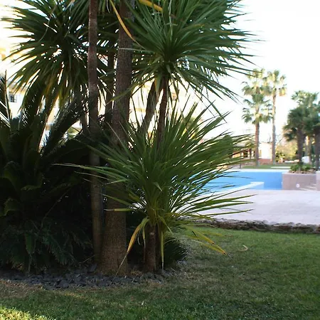 Vitor s Plaza Mariosilvat Portimão